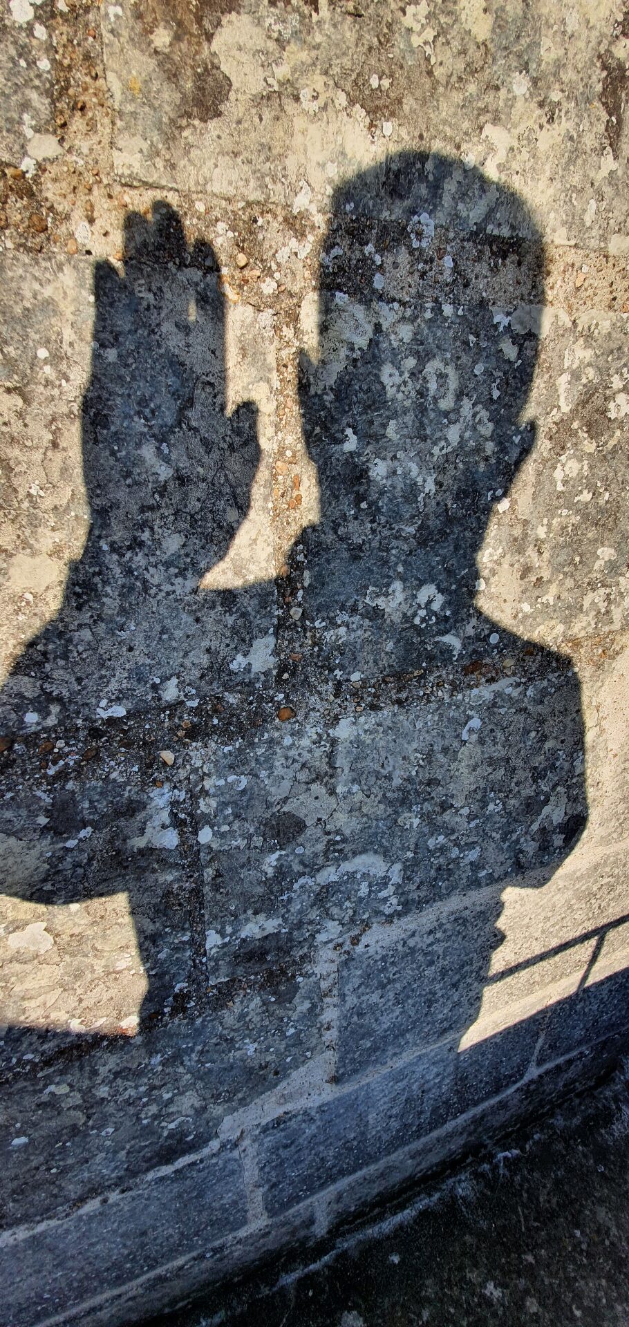 A shadow cast on a lichen-covered wall — a hand half-raised, somewhere between a wave and a question.